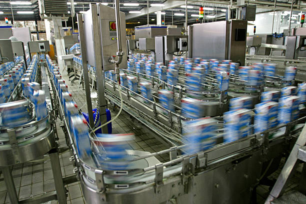 Automated production line in modern dairy factory